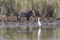 /album/foto-adriano/58a6429-copia-jpg/